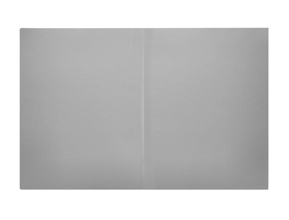 SUBCARPETA LIDERPAPEL A4 GRIS 180G/M2